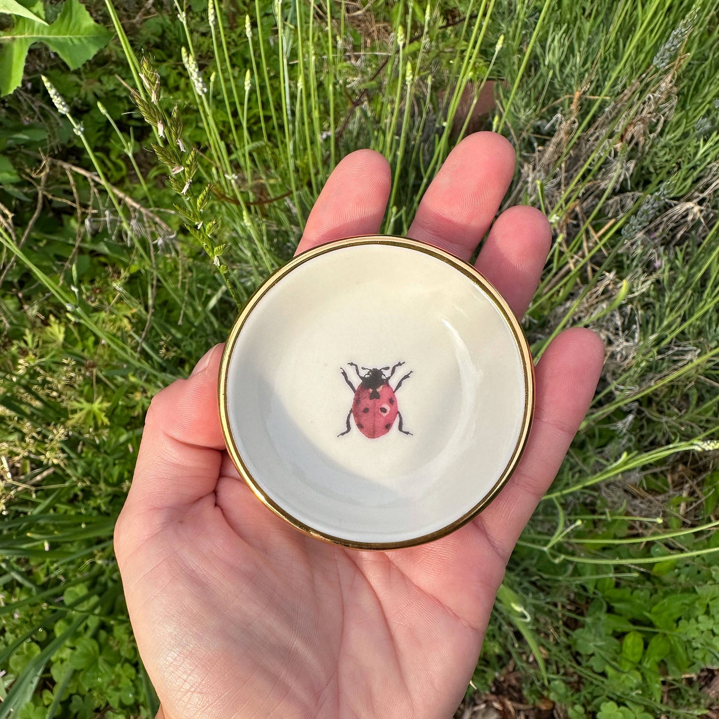 Ladybug Trinket Dish | Ring Dish