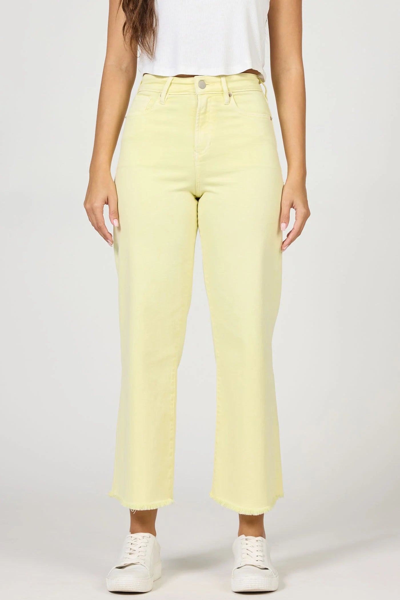 HOLLY - HIGHLIGHT YELLOW