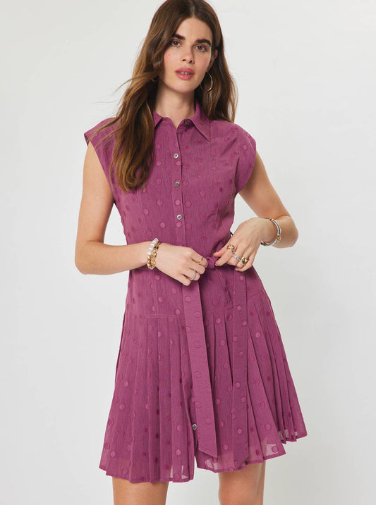 Polka Dot Pleated Button Down Mini Dress