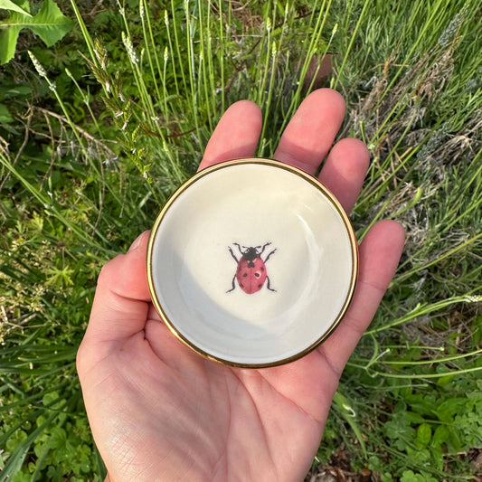 Ladybug Trinket Dish | Ring Dish