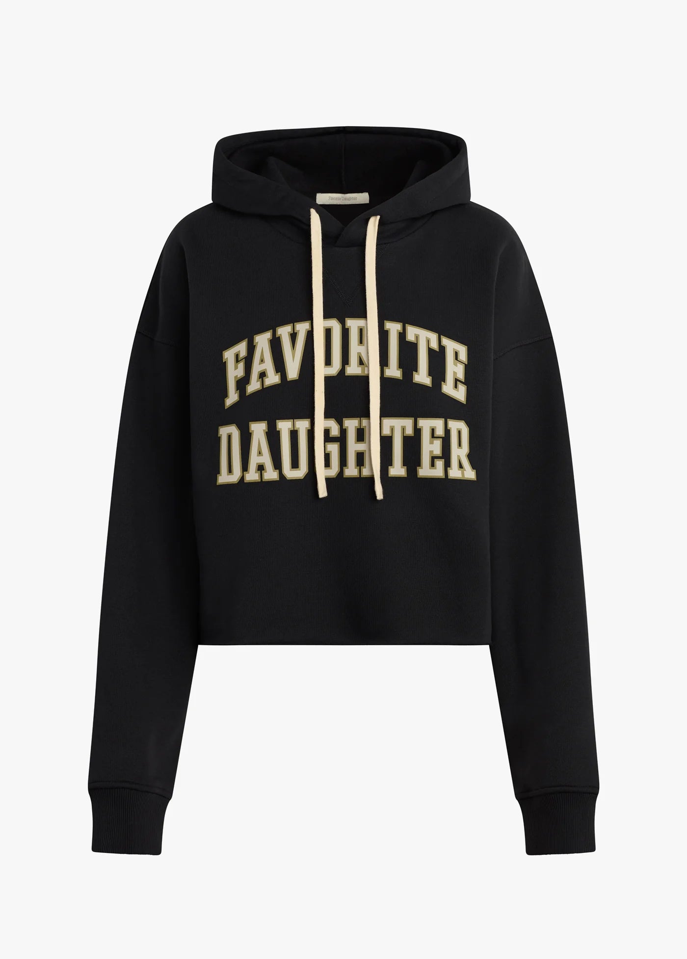 THE CROPPED COLLEGIATE HOODIE